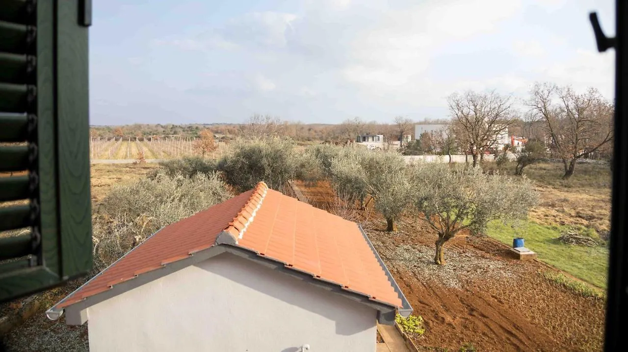Booking Zaton Villa Martinova Holiday House With Swimming Pool